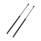 Toyota Camry 2018-2023 Hood Strut Lift Support Pair 2PCS New Panel