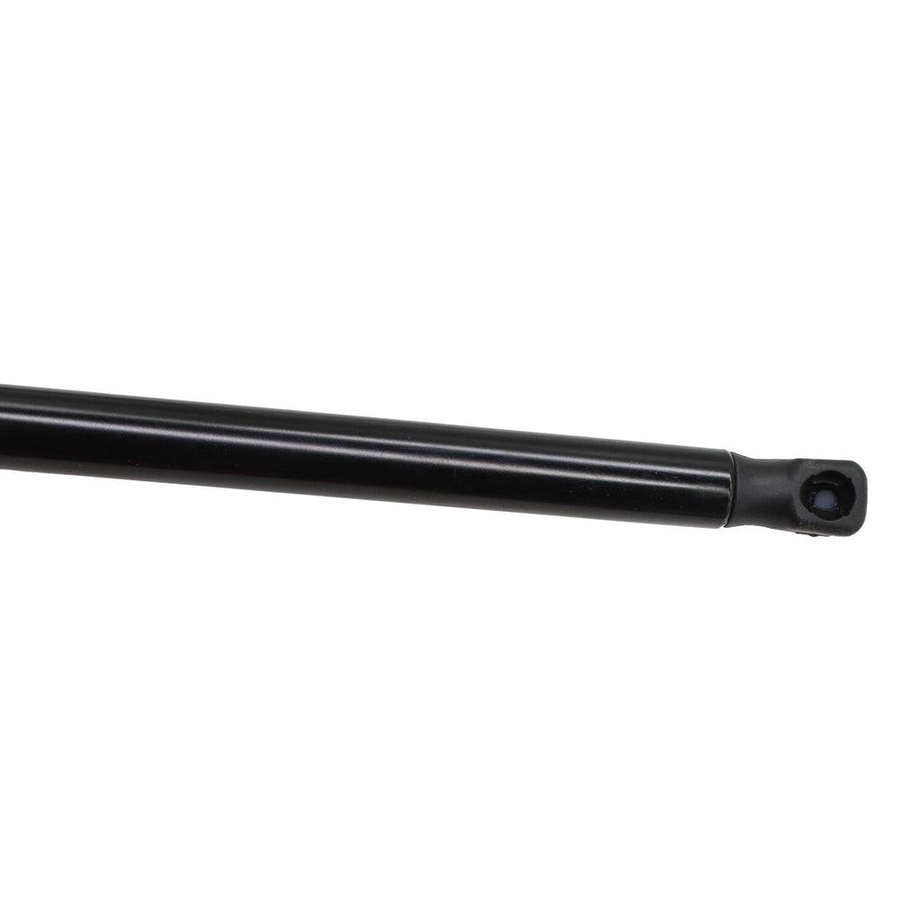 Toyota Camry 2018-2023 Hood Strut Lift Support Pair 2PCS New Panel