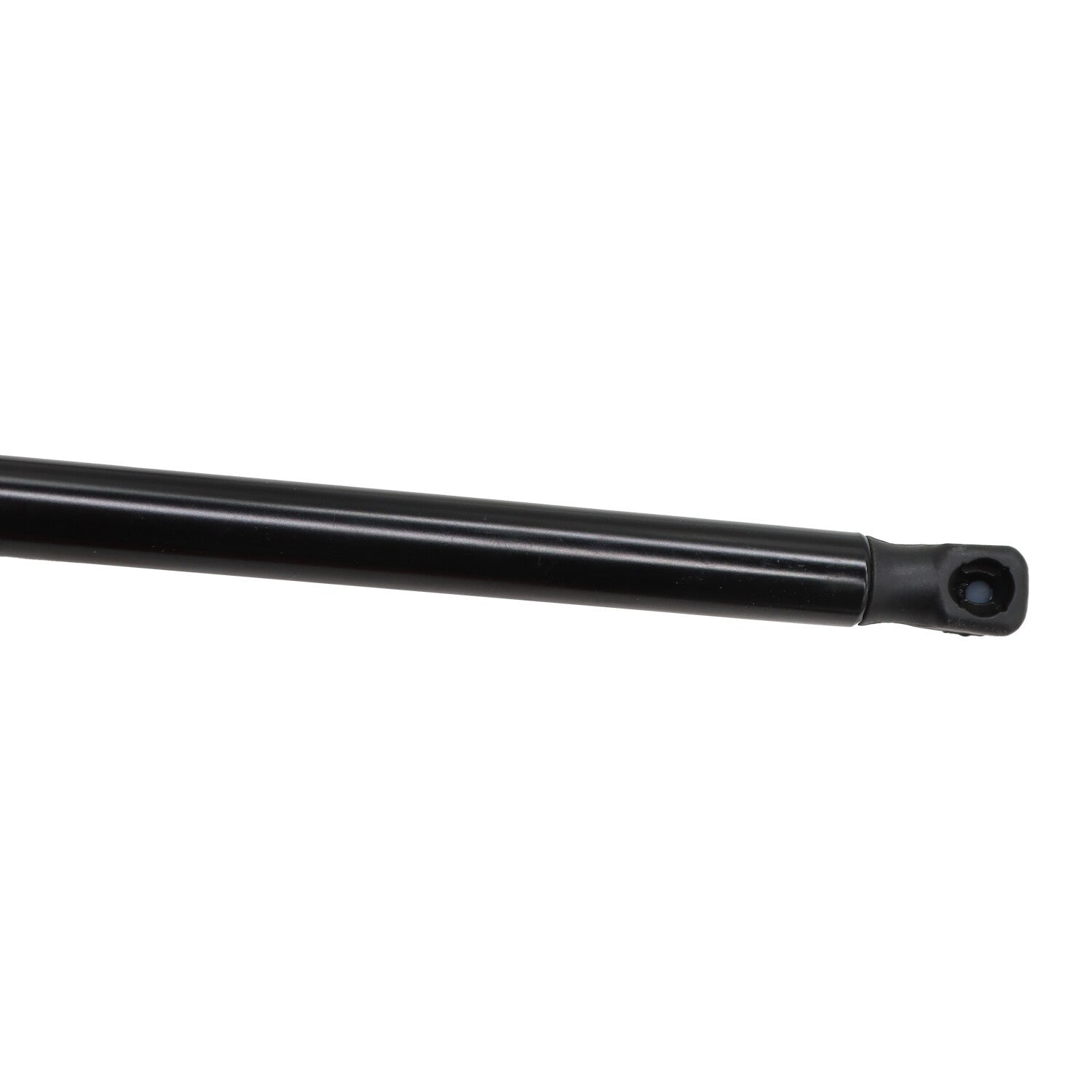 Toyota Camry 2018-2023 Hood Strut Lift Support Pair 2PCS New Panel