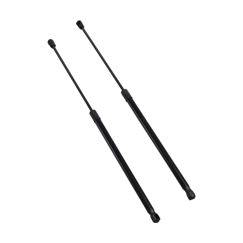 Toyota Camry 2018-2023 Hood Strut Lift Support Pair 2PCS New Panel