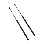 Toyota Camry 2018-2023 Hood Strut Lift Support Pair 2PCS New Panel