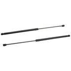 Toyota Camry 2018-2023 Hood Strut Lift Support Pair 2PCS New Panel