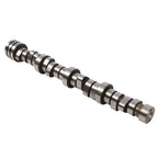 Hydraulic Camshaft MDS Lifters Kit for Dodge Jeep Chrysler 5.7L V8 HEMI New