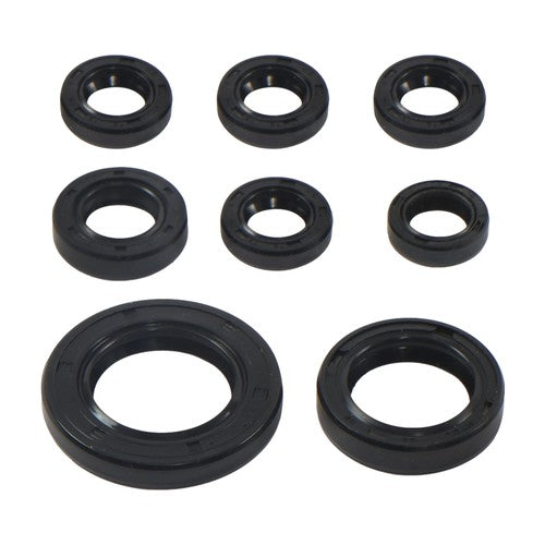 Overhaul pad+oil seal 808867 2000-2006 For Honda TRX 350TE Rancher ES TRX 350