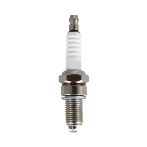 12_1bd81509-6e23-445c-ad87-4c19cd86167f - Northline Parts