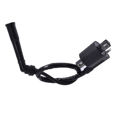 Ignition Coil For ARCTIC CAT 700 EFI 2006-2008 For SUZUKI ALT185 1985 ALT 185