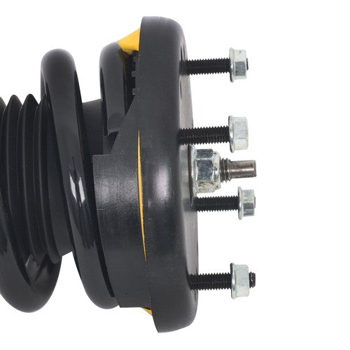Pair Rear Shock Struts Assys Coil Spring w/o Electric For Jaguar XJ Series 10-18