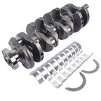 12_5662b1eb-a66e-47e7-85a0-870c5a22caa1 - Northline Parts