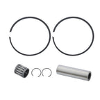12_56f83145-8331-453f-a9e5-421841c5e9a9 - Northline Parts