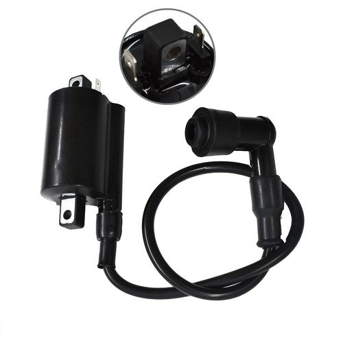 2× Ignition Coil Fits For John Deere 2653 GAS 260 285 265 320 445 455 F725 F911