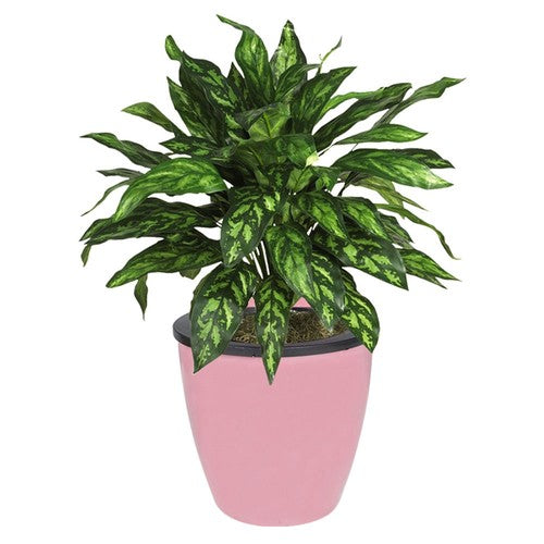 Pink Self-Watering Plant Flower Pot Wall Hanging Plastic Planter Garden 7 Pack
