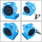 Powerful 1/2HP 2200CFM 15ft 2-Position Carpet Dryer - Blue Fan