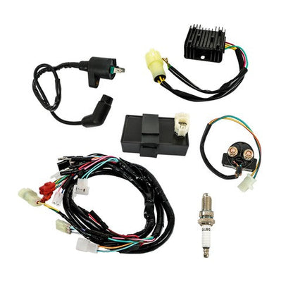For Honda FourTrax 300 TRX300FW 4x4 CDI Ignition Coil Spark Plug Wire Harness