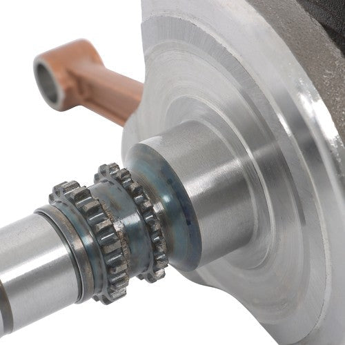 New For Honda TRX250 Rebuild kit Crankshaft+Cylinder head Bearings 13000-HM8-A40