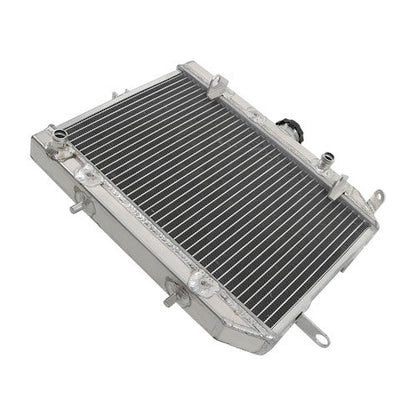 Radiator For Honda Rincon 650 680 TRX650FA TRX680FA 4x4 06-23 19010-HN8-A61