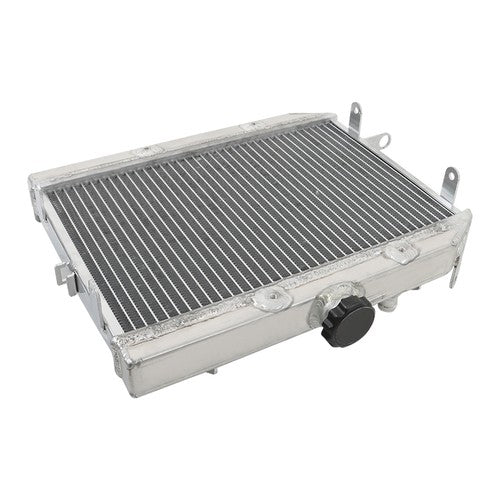 Radiator For Honda Rincon 650 680 TRX650FA TRX680FA 4x4 06-23 19010-HN8-A61