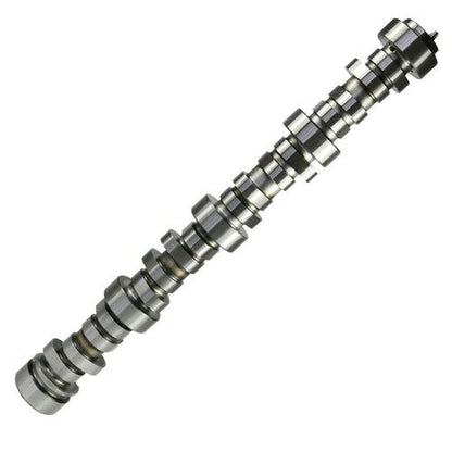 Engine Camshaft .585/.585 Hydraulic Roller for Chevy Pontiac LS LS1 Cam