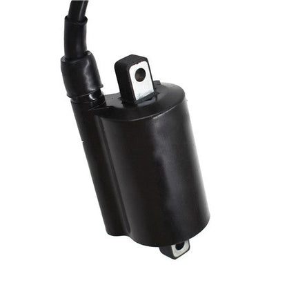 2× Ignition Coil Fits For John Deere 2653 GAS 260 285 265 320 445 455 F725 F911