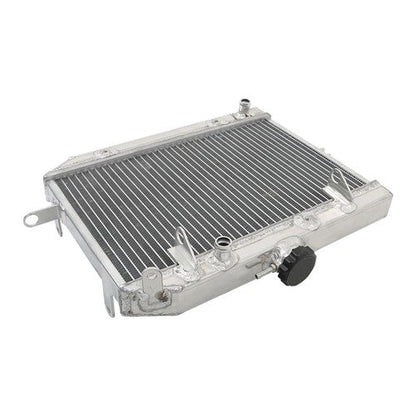 Radiator For Honda Rincon 650 680 TRX650FA TRX680FA 4x4 06-23 19010-HN8-A61