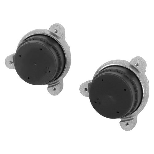 2PC Engine Motor Mount Set For BMW 528i 535i 640i 740i 740Li 2012-2016 AWD 3.0L