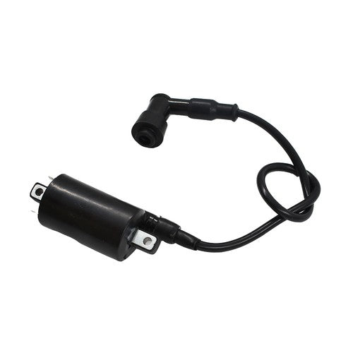 2× Ignition Coil Fits For John Deere 2653 GAS 260 285 265 320 445 455 F725 F911