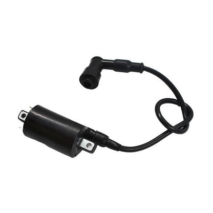 2× Ignition Coil Fits For John Deere 2653 GAS 260 285 265 320 445 455 F725 F911