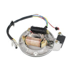 New Wiring Harness Loom Ignition Coil CDI Magneto Stator 50-140cc Dirt Pit Bike
