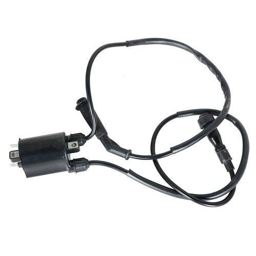 Ignition Coil & Spark Plug Cap Fit FOR Honda VT600 Shadow VLX 600 1988-2007