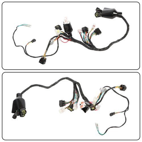 Electric Bike Dirt For Sur-Ron Light Bee LBX Full Main Wire Wiring Assy Harness
