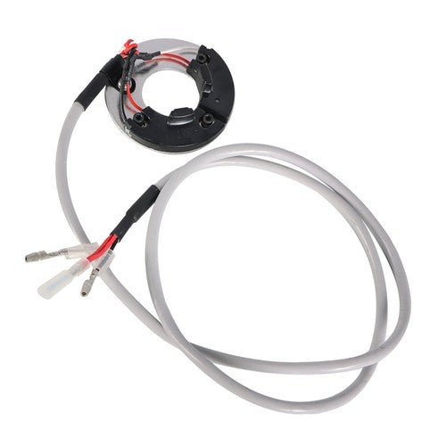 Electronic Ignition SYSTEM DS1-3 For Honda GL1000 Goldwing GL 1000 1975-1979