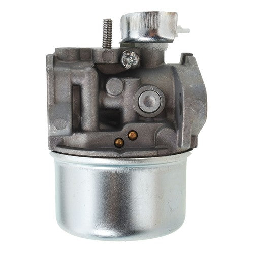 Carburetor Kit For Briggs & Stratton 120202 120212 120232 120252 120292 790290