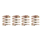 Golf Cart Brake Shoes & Spring Kit for E-Z-GO TXT Medalist 1997+ RXV 2008+