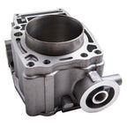 Polaris Ranger Scrambler Sportsman 500 Top End Piston Cylinder Kit 96-10
