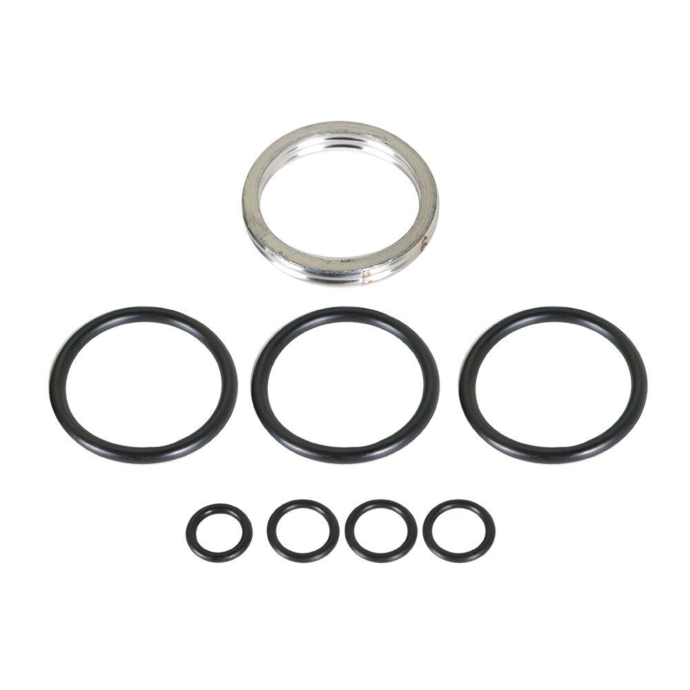 Honda Sportrax 250 TRX250EX 2001-2005 Top End Head Gasket Kit 2x4