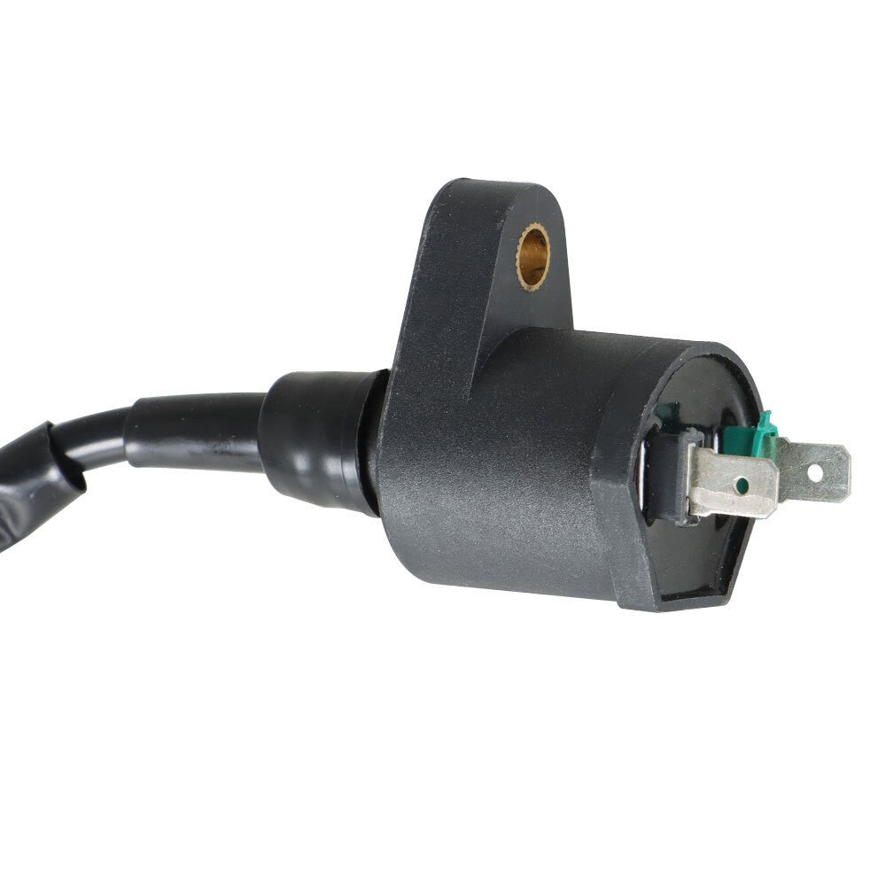 Ignition Coil CDI Spark Plug for Honda TRX250EX TRX250TE TRX250TM 2x4