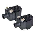 2-Pack Ignition Coils for Mercury 25Hp Outboard Engine 1980-2006