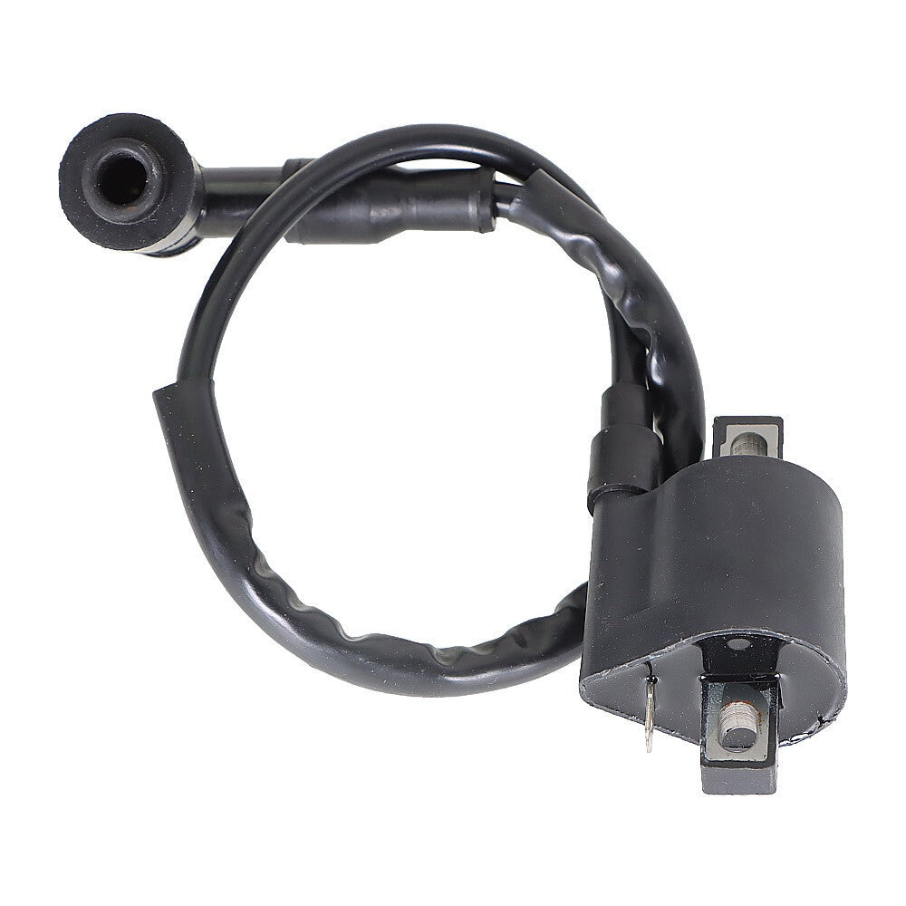Ignition Coil CDI & Spark Plug for Yamaha YFM80 Badger Grizzly Raptor 80
