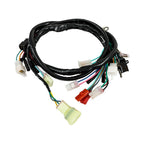Honda TRX300 TRX300FW 1994-96 Ignition Coil CDI Rectifier Relay Wire Harness