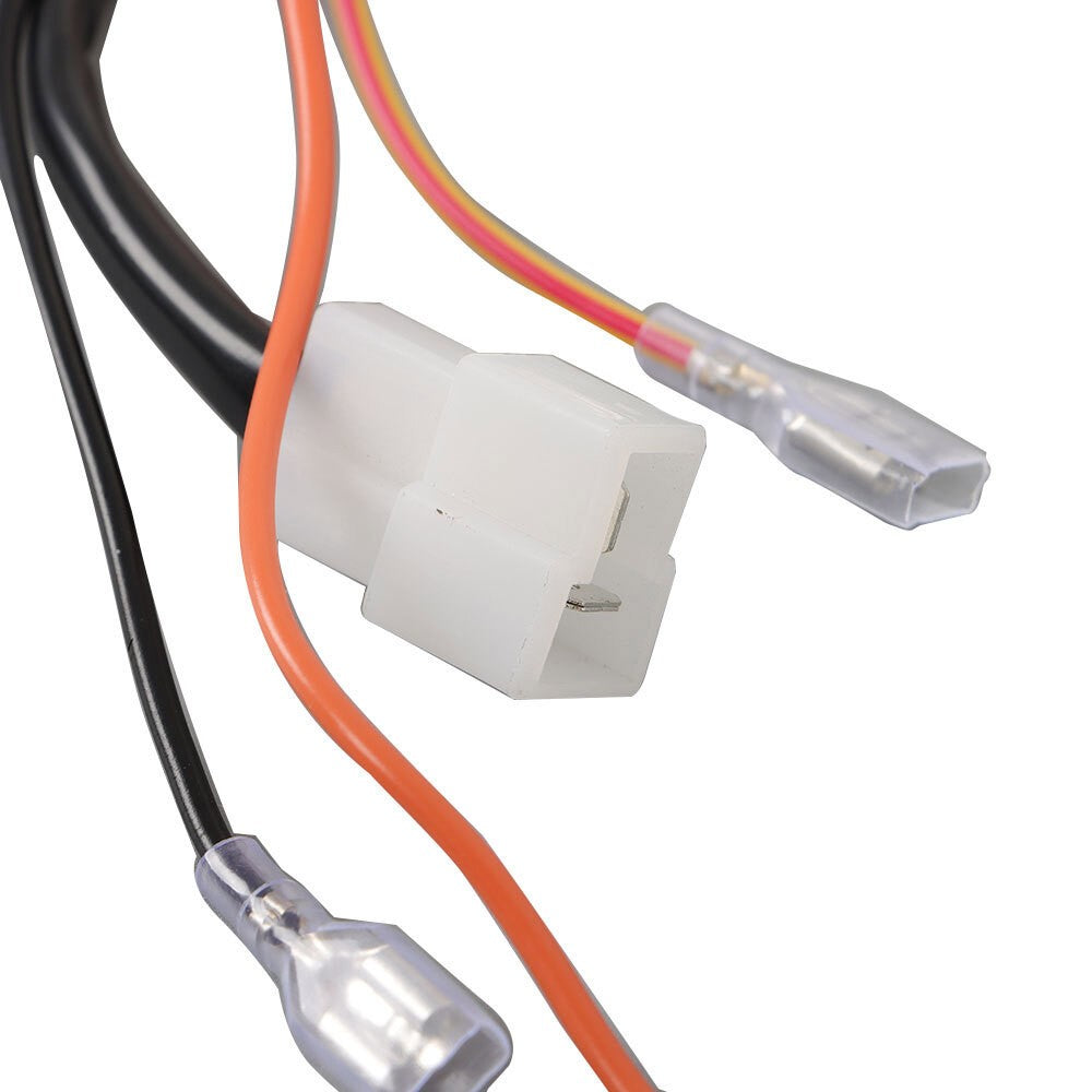 Engine Ignitor Assembly for EZGO Gas Golf Cart 2-Cycle Marathon 24881-G1