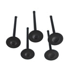 Yamaha Raptor 660R Engine Intake & Exhaust Valves 2001-2005 ATV Parts