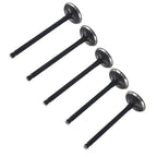 Yamaha Raptor 660R Engine Intake & Exhaust Valves 2001-2005 ATV Parts