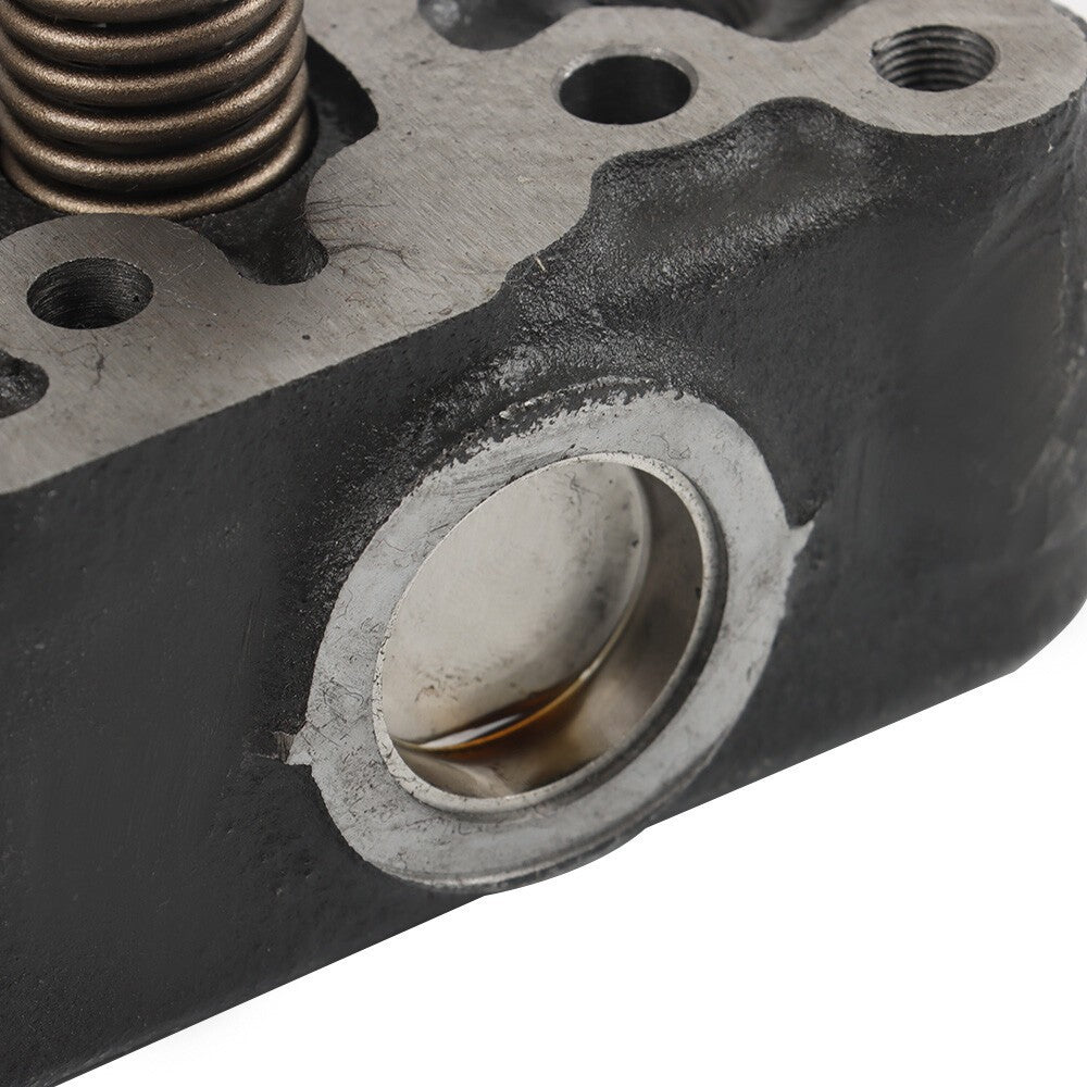 Kubota D722 Cylinder Head with Valves 17575-03042 16873-03043 16689-03049