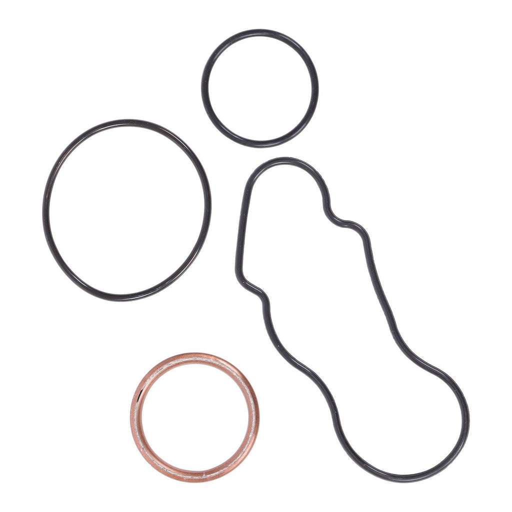 Complete Engine Gasket Kit for Honda Rancher TRX 350 2000-2006 808867