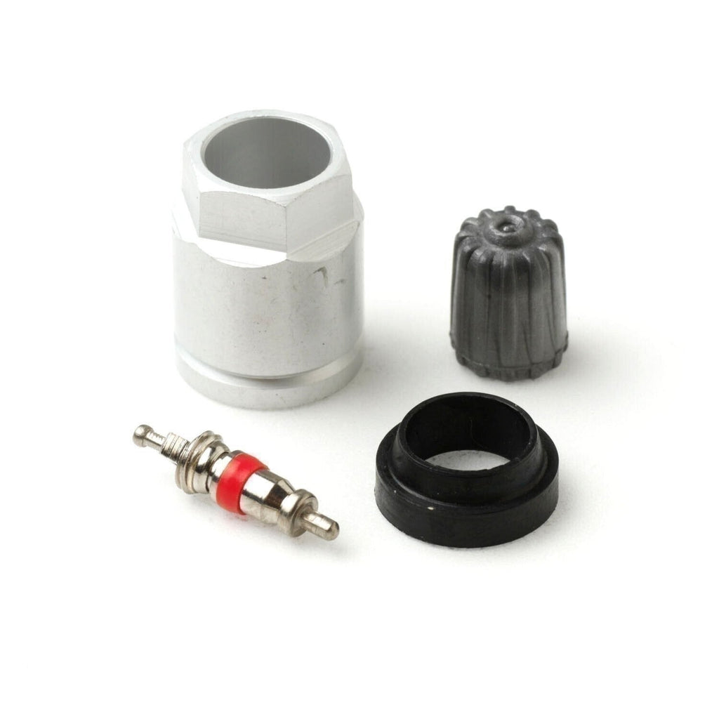 31 Inc Economy TPMS Valve Stem Service Kit for Ford Truck Sensors 17-20096AK
