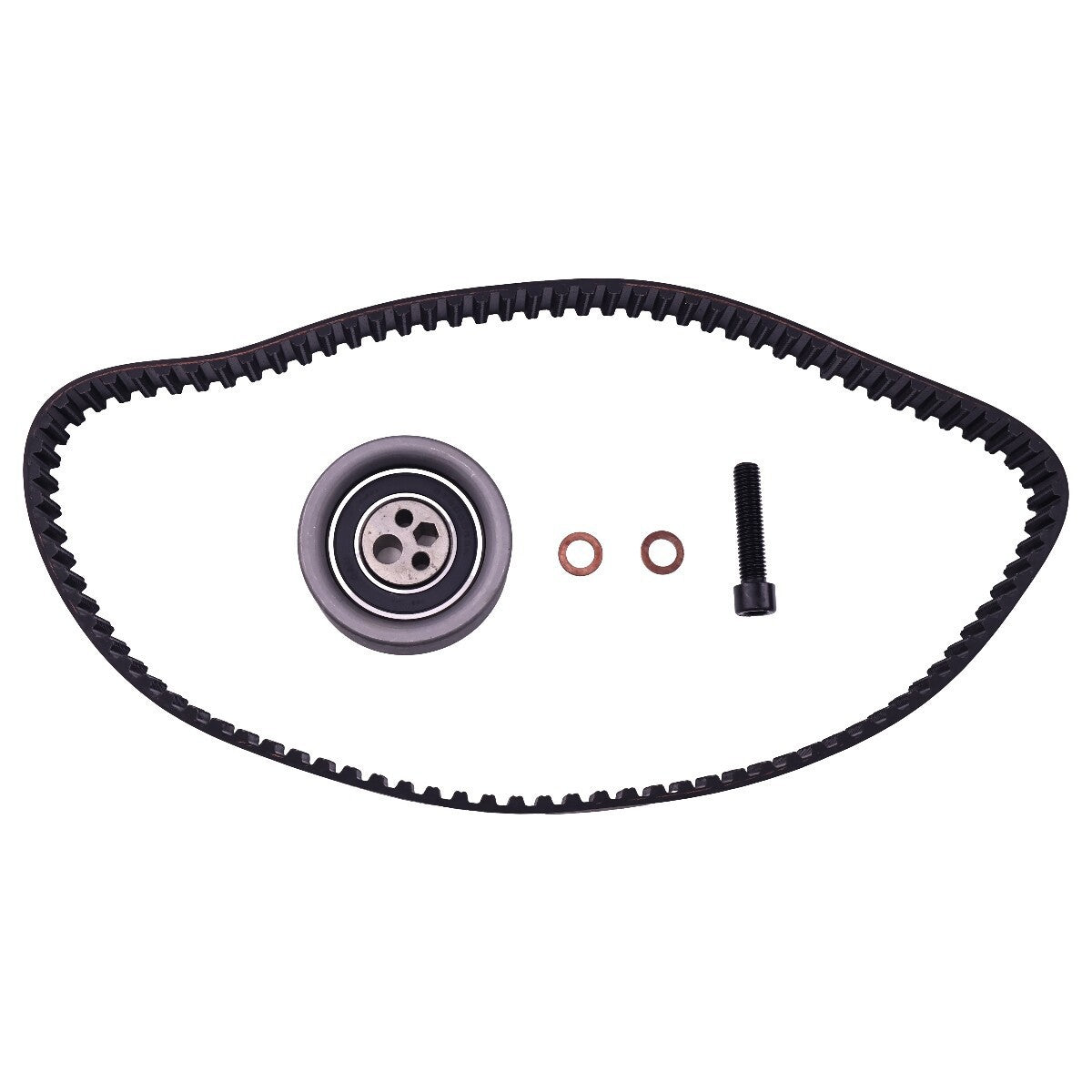 Timing Belt Repair Kit 6670555 for Bobcat 863 864G 873 873G T200 S250 A220 A300