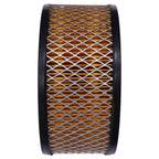 Air Filter 366-07188 for TS TS2 TR1 TR2 LT1 LT2 LV1 LV2 LPA2 LPA3 LPW2 Engine