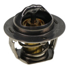 Thermostat 249-5541 251-7660 for Caterpillar CAT 216 216B 232B 242B 3034 Engine