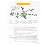 Power Steering Pump & Pressure Line for Nissan Maxima 2008-2014 Altima 2008-2012