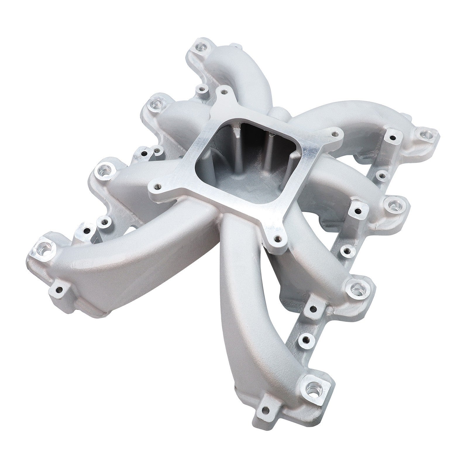 EFI Intake Manifold GM LS1 LS2 LS6 300-137 Rectangle Port with Fuel Rail