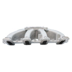 EFI Intake Manifold GM LS1 LS2 LS6 300-137 Rectangle Port with Fuel Rail